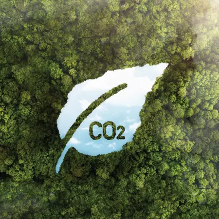 Carbon Offset