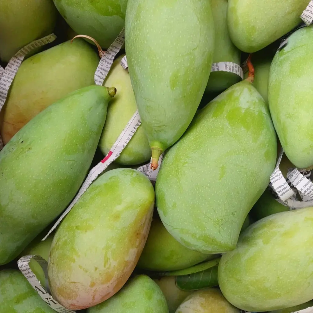 Totapuri Raw Mango-1kg  
