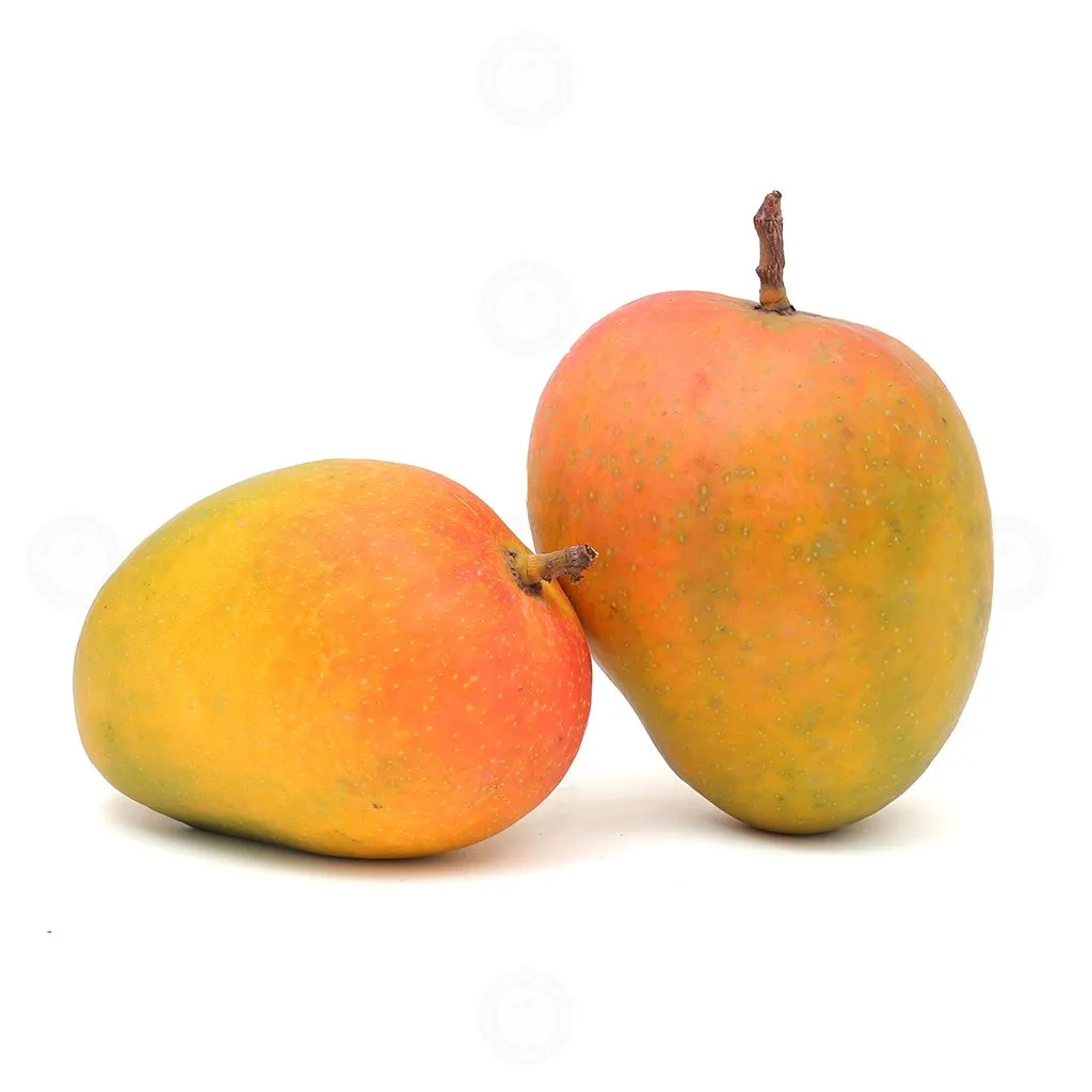 Alphonso mango