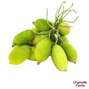 Spine Gourd(Kankada-hybrid)-250gms 